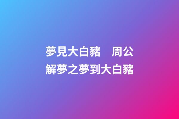 夢見大白豬　周公解夢之夢到大白豬